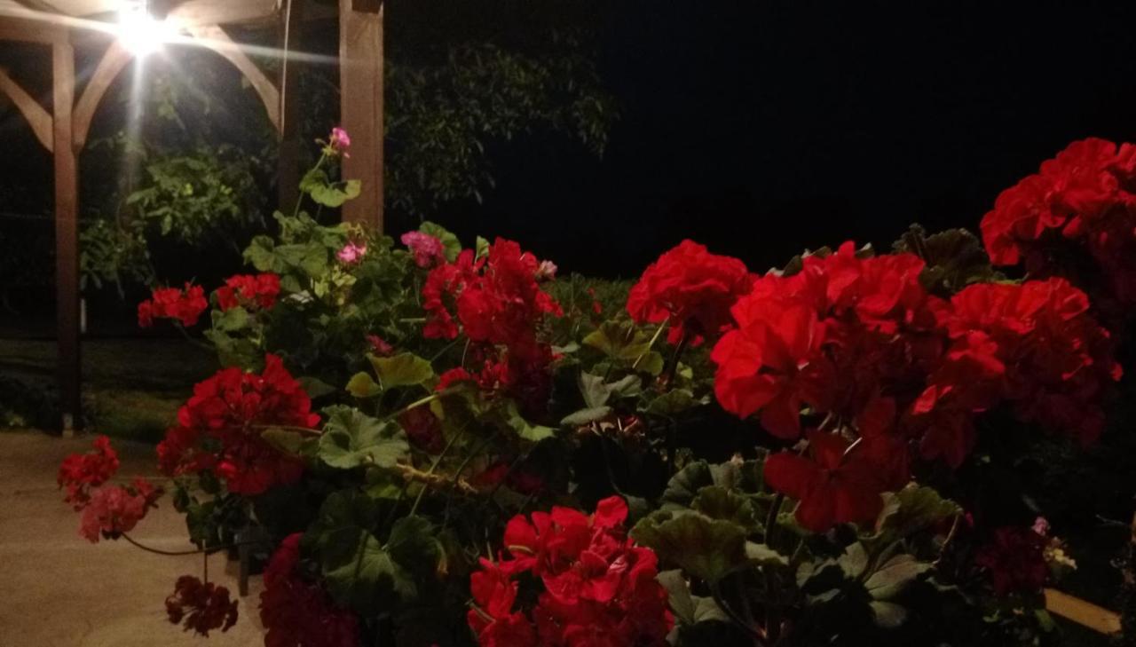 Pokoje Goscinne Gazda Polanica-Zdroj Bagian luar foto